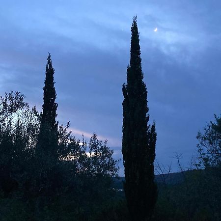 Casa Gallinera Benissiva エクステリア 写真